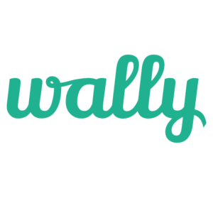 Fintech Startup in UAE: wally
