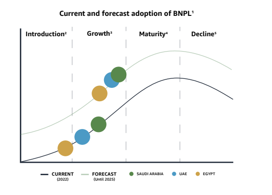 Current and forecast adoption of BNPL'