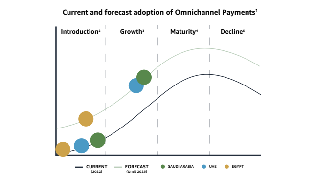 Current and forecast adoption of Omnichannel Payments